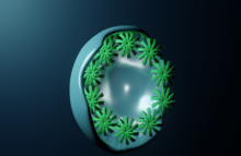 RING ABSTRACT DESIGN